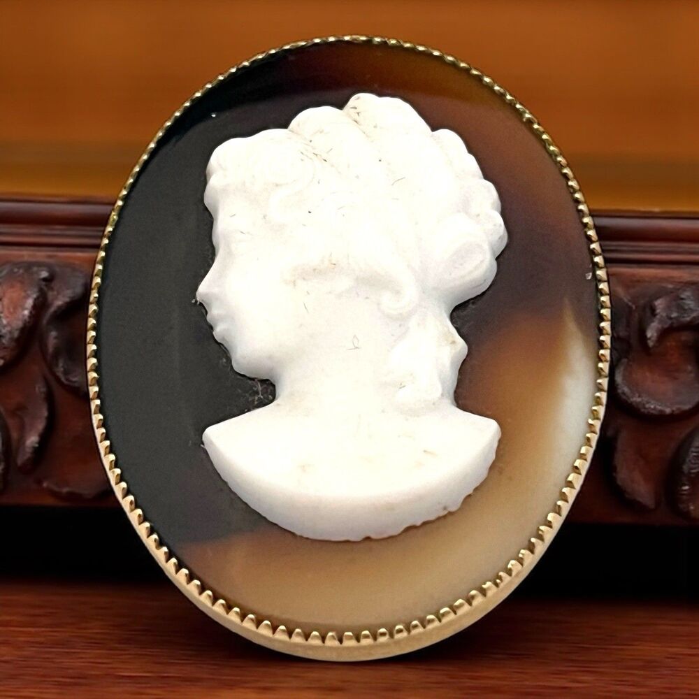 Vintage 1960s Cameo Brooch Resin Lady Tortoiseshell Glass Gold Tone - 7S